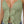 Blusa copas con bolero ref-1111541