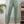 Pantalon Suelto Con Sesgos En Costados Ref-181106