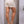 short suelto ref-2710054