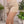 Short suelto bordado ref-2711282