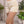 Short suelto bordado ref-2711282