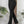 Pantalon suelto ref-2811229