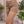 Short suelto bordado ref-2711282